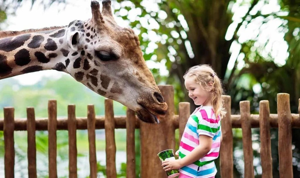 The best destinations for fun with children