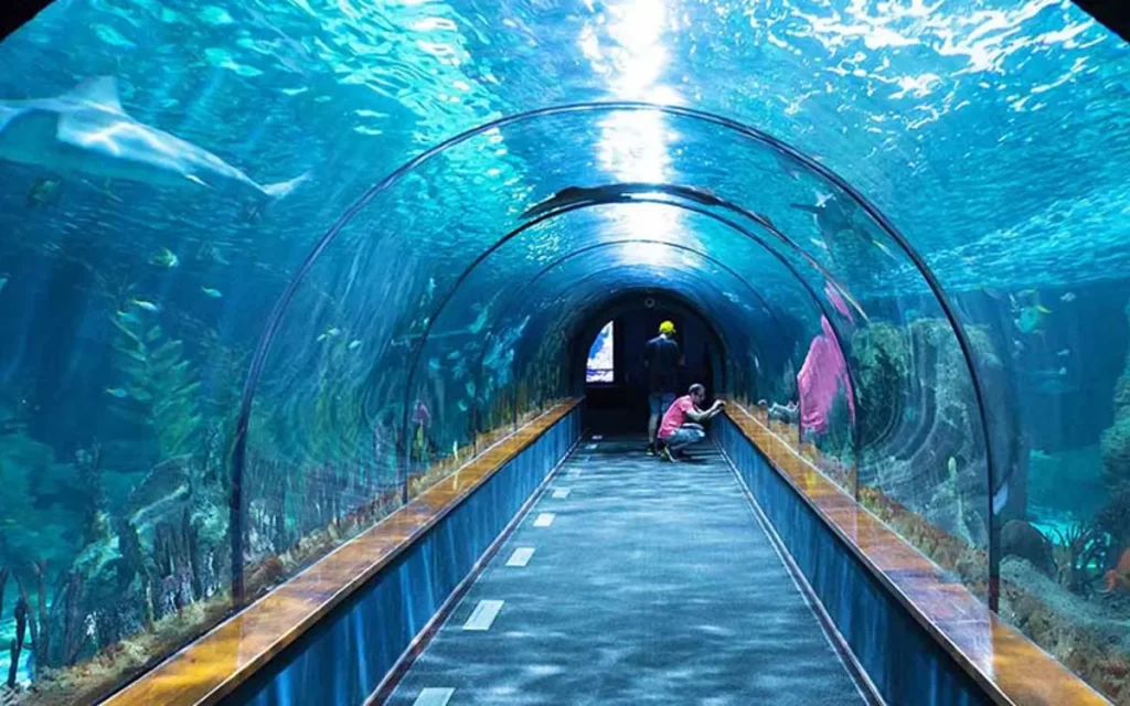 آکواریوم استانبول