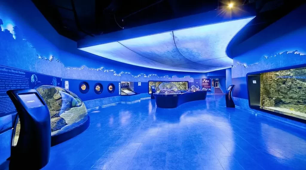 آکواریوم استانبول